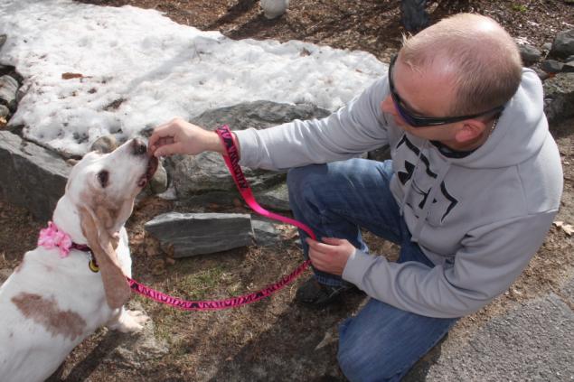 basset_hound_and_man_reunited_after_10_years_apart_lifetimewithdogs