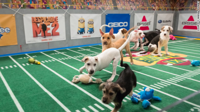 puppybowl2013_lifetimewithdogs