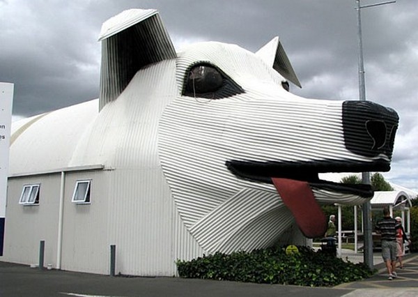 dog_house_new_zealand_lifetimewithdogs