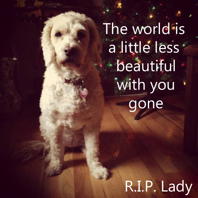 riplady_lifetimewithdogs