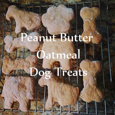 peanutbutteroatmealdogtreats_lifetimewithdogs